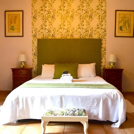 Ziggys Mountain Retreat (adults Only) Bed & Breakfast