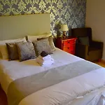 Ziggys Mountain Retreat (adults Only) *